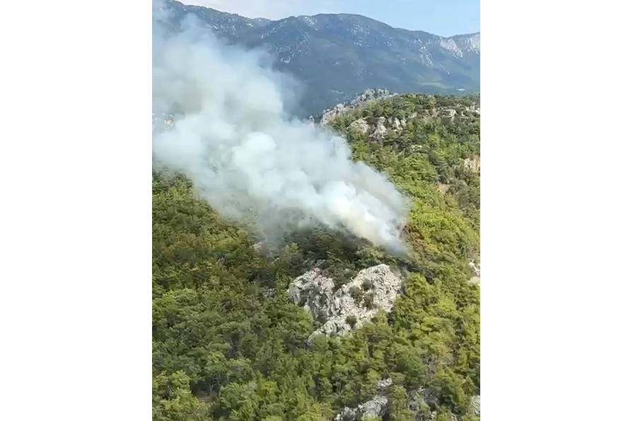 Antalya'da orman yangını