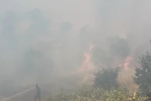 Diyarbakır’ın Lice ilçesinde orman yangını