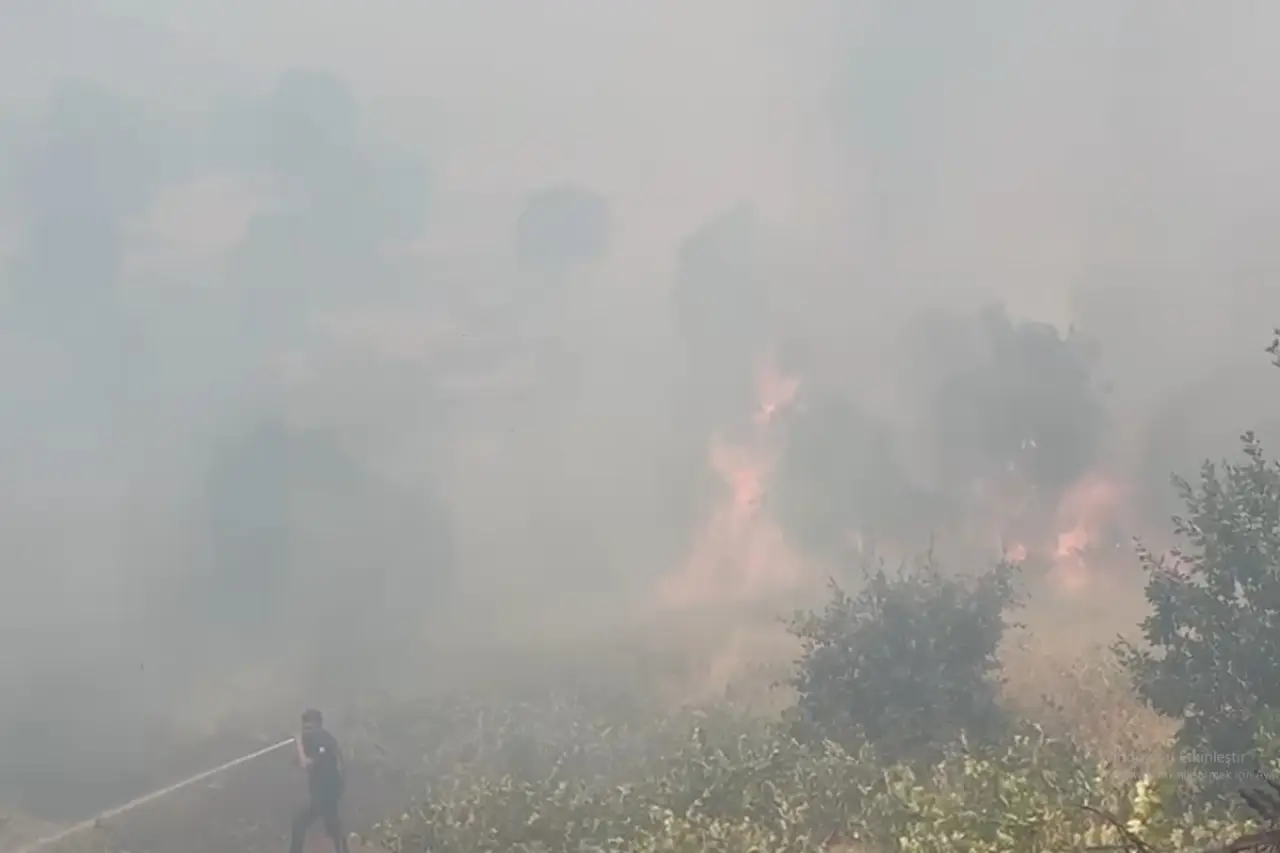 Diyarbakır’ın Lice ilçesinde orman yangını