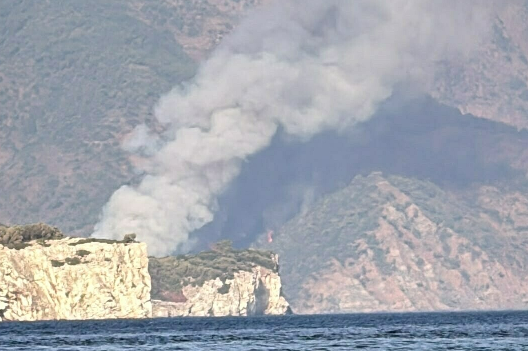 Muğla’nın Marmaris ilçesinde orman yangını