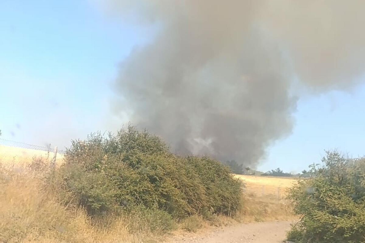 Çanakkale Ezine’de orman yangını