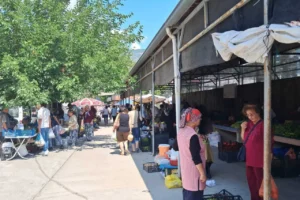 Artvinli emeklinin 'pazar' çilesi: "Şehirde yaşanmıyor, yaşanacak gibi değil”