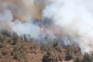 Balıkesir'de kamyondaki yangın ormana sıçradı