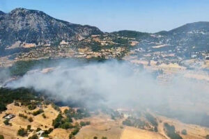 Antalya Kaş’ta orman yangını