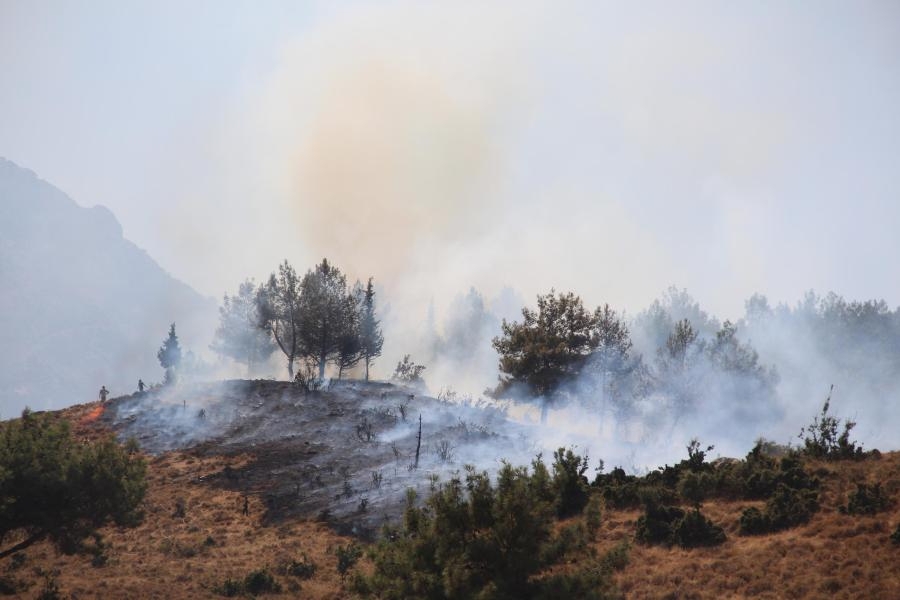 Manisa'da orman yangını: Havadan ve karadan müdahale sürüyor