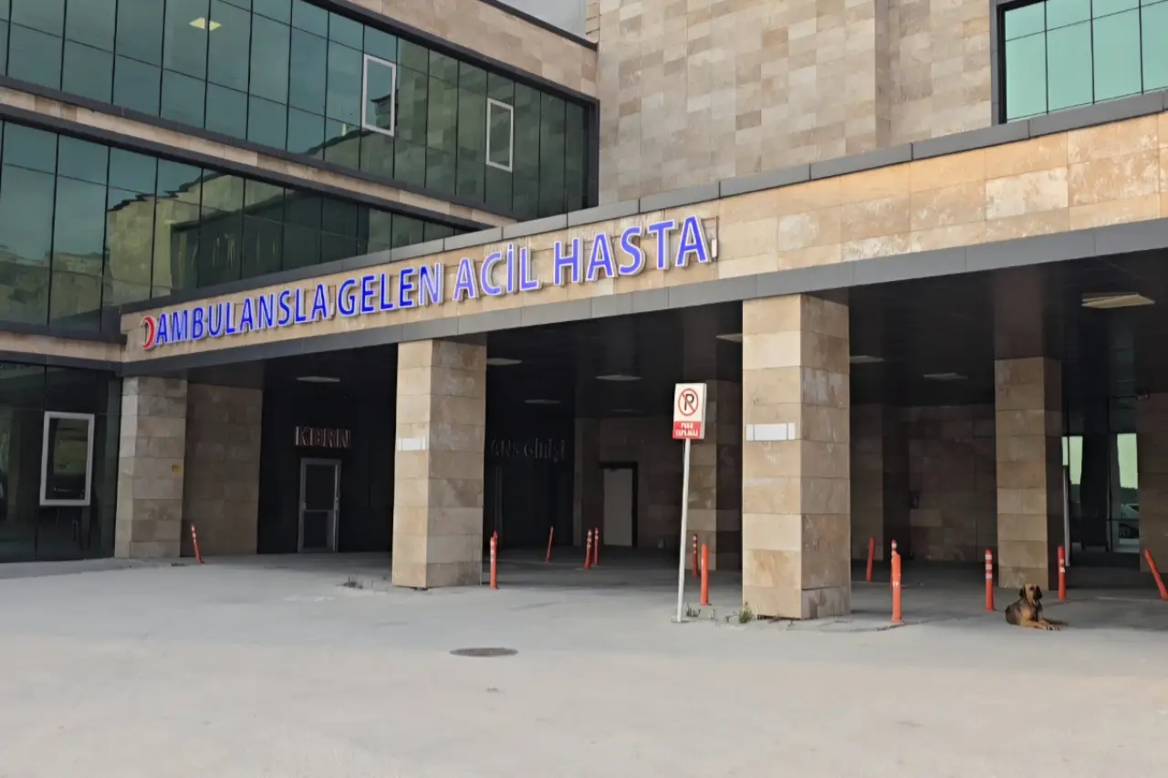 Hatay'da doktora yumruk atan hasta tutuklandı