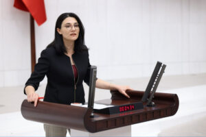 DEM Partili Demir mevsimlik tarım işçilerine yönelik saldırıları Meclis gündemine taşıdı: "İşçilerin can güvenliği için hangi tedbirler alındı?"