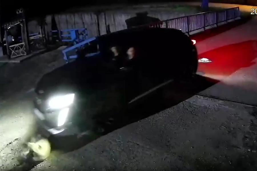 Giresun'da sürücü, fabrika girişinde yatan köpeği bilerek ezdi