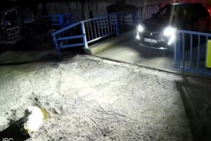 Giresun'da köpeği ezen sürücü yakalandı