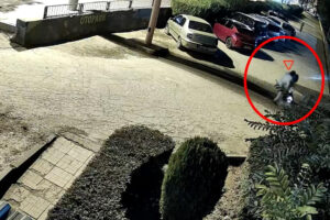 Diyarbakır’da kadın cinayeti: Sultan Akdemir boşanma aşamasında olduğu erkek tarafından öldürüldü