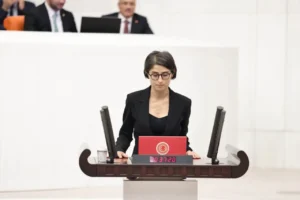 DEM Partili Ceylan Akça Cupolo: 'Yalnızca maddi imkanı olanların ilaca ulaşabilmesi adaletsizliktir'
