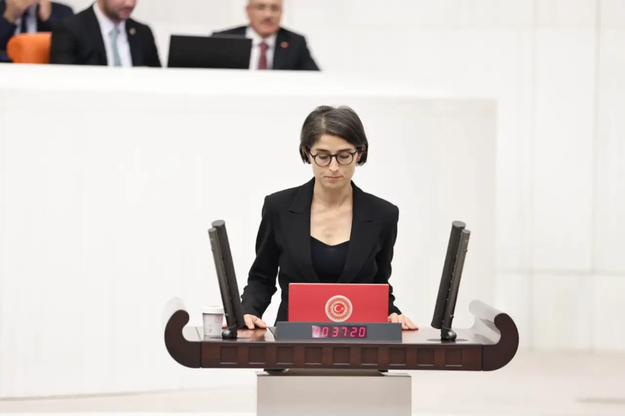 DEM Partili Ceylan Akça Cupolo: 'Yalnızca maddi imkanı olanların ilaca ulaşabilmesi adaletsizliktir'