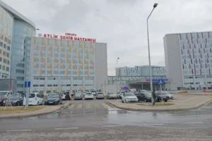 AKP’nin neoliberal politikalarının sağlık alanındaki tezahürü: Şehir Hastaneleri
