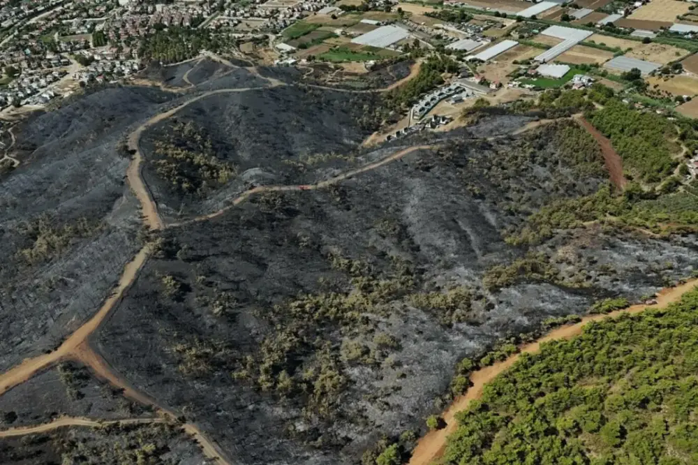 Muğla Fethiye'deki orman yangını: Yaklaşık 50 hektar alan zarar gördü