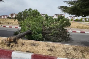 Erciş’te şiddetli fırtına hasara yol açtı