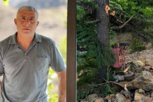 Adana'da ağaca çarpan motosikletin sürücüsü öldü