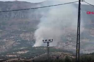 Adıyaman'da çıkan orman yangınına müdahale ediliyor