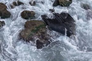 Akçakoca sahilinde İHA kıyıya vurdu: Rus yapımı olduğu belirlendi