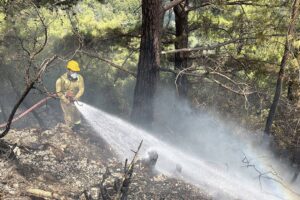 Alanya'da ormanlık alandaki yangın söndürüldü