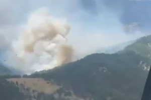 Antalya'da orman yangını