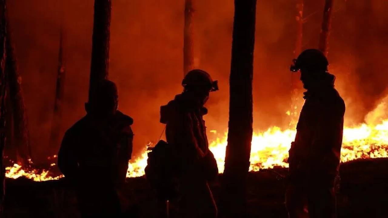 Belçika tarihinin en büyük orman yangınıyla mücadele ediyor