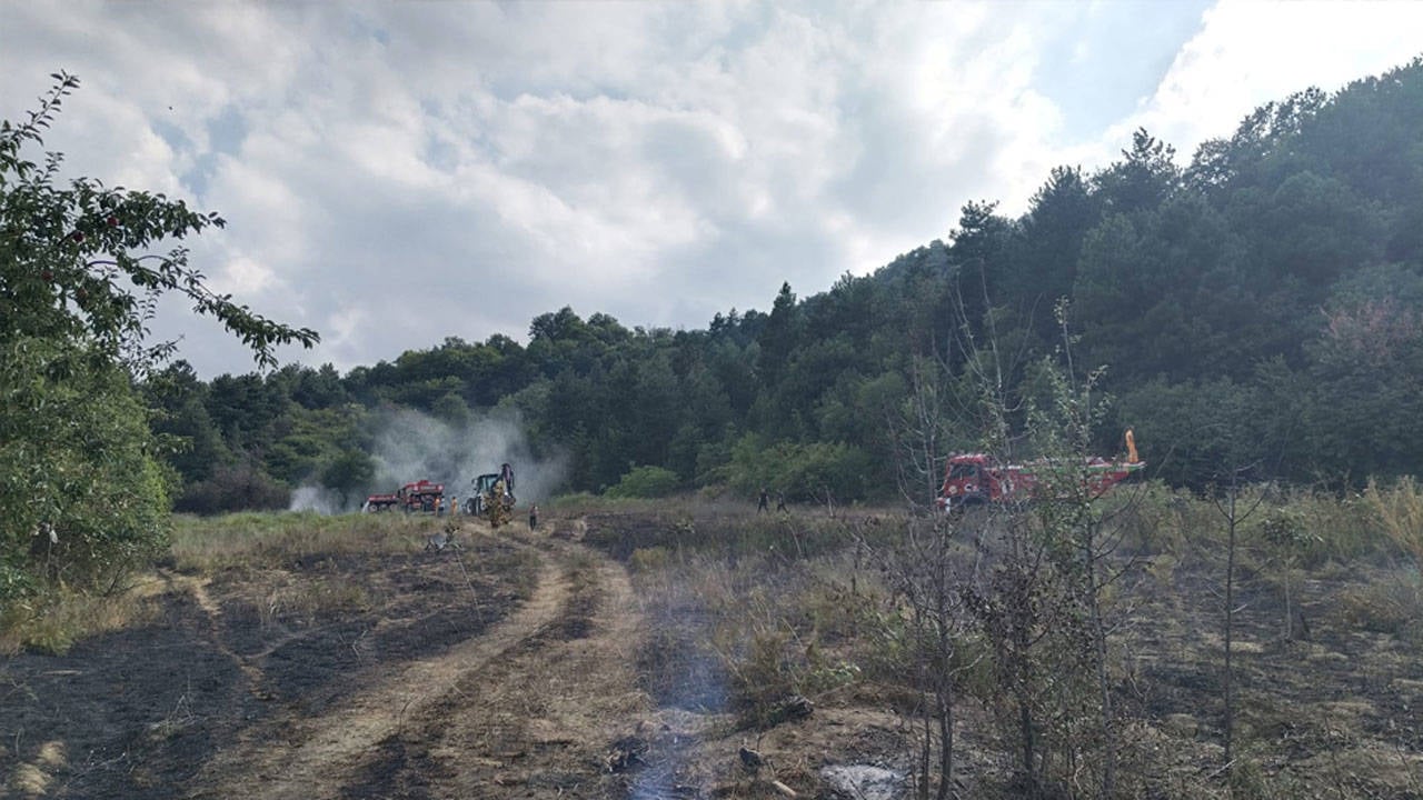 Bursa'da orman yangını: Havadan ve karadan müdahale ediliyor