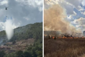 Bursa'nın iki ilçesinde orman yangını