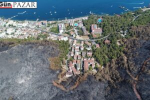Çağatay Tavşanoğlu ile söyleşi: İklim değişikliği yangın mevsimlerini uzattı