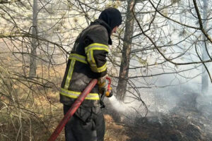 Çorum'da ağaçlık alanda yangın