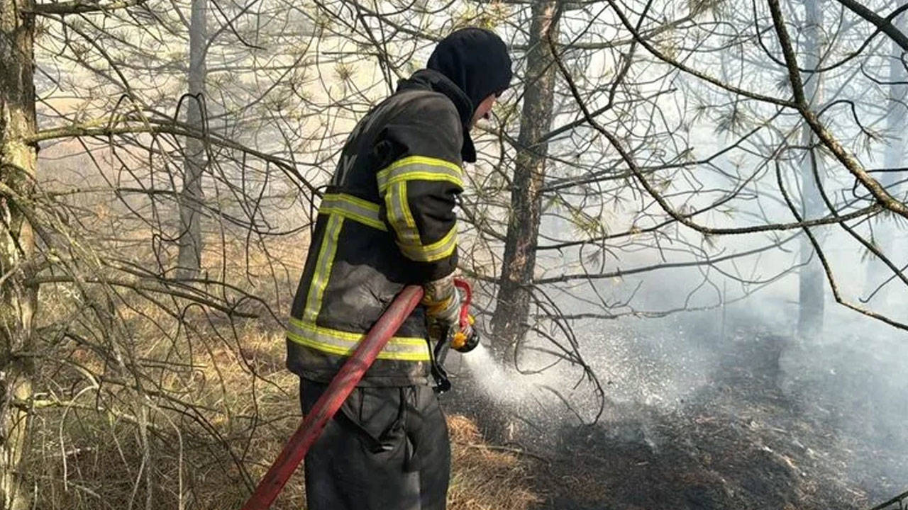 Çorum'da ağaçlık alanda yangın