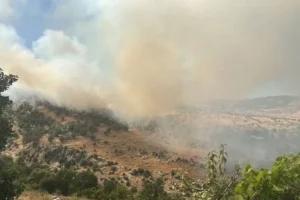 Diyarbakır'da ormana sıçrayan yangına müdahale ediliyor