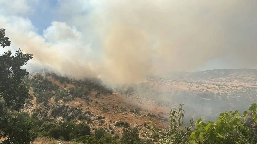 Diyarbakır'da ormana sıçrayan yangına müdahale ediliyor