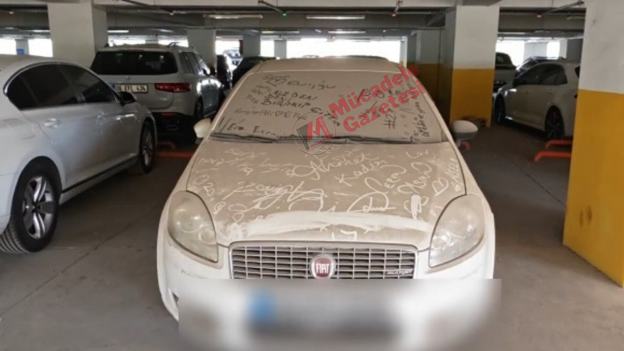 Diyarbakır otoparkında gizemli sakin: Unutuldu mu yoksa kaderine mi terk edildi?