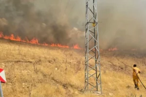 Diyarbakır Silvan’da yangın: 400 alan kül oldu!