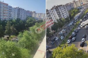 Diyarbakır’da 19 yıllık ağaçlar söküldü: Sebebi belli oldu!