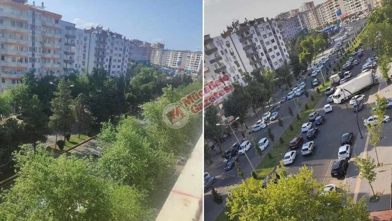 Diyarbakır’da 19 yıllık ağaçlar söküldü: Sebebi belli oldu!