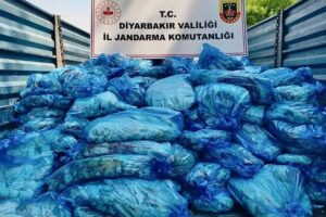 Diyarbakır'da 3 ton şüpheli hayvansal iç yağı yakalandı
