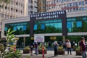 Diyarbakır’da ‘kuduz’ alarmı: Kedinin ısırdığı çocuk yoğun bakımda!