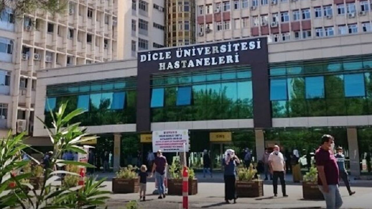 Diyarbakır’da ‘kuduz’ alarmı: Kedinin ısırdığı çocuk yoğun bakımda!