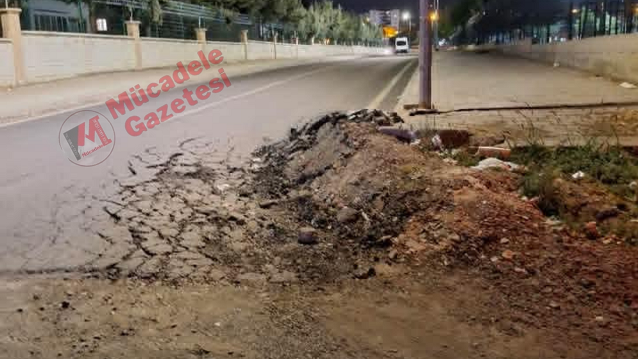 Diyarbakır'da araç sahiplerini çileden çıkaran o sokak!