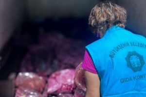 Diyarbakır’da araçta 3 ton sakatat ele geçirildi