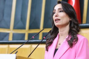 Hatimoğulları'ndan 'çerçeve yasa' değerlendirmesi: YENİ Parti'nin tamamından evet beklerdik