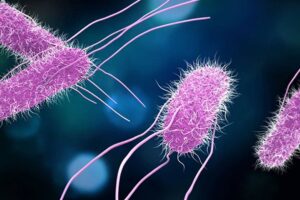 İngiltere'de salmonella salgını: 207 kişi hastalandı, 1 kişi öldü