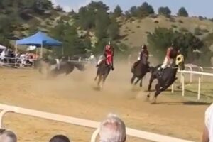 Kastamonu'daki at yarışında kaza: 2 at yaşamını yitirdi, jokey yaralandı
