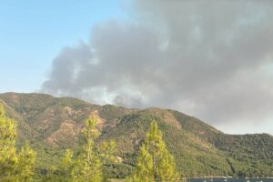 Marmaris'te orman yangını: Müdahale sürüyor