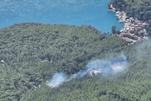 Muğla'da orman yangını