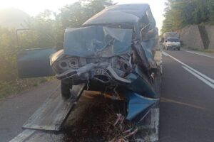 Ordu'da ağaca çarpan otomobilin sürücüsü öldü
