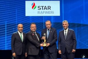 Şirketler dev, vergileri mütevazi