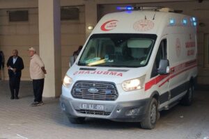 Diyarbakır yolunda otomobil eşeğe çarptı: Otobüs facianın eşiğinden döndü