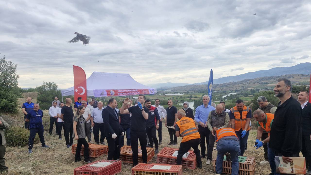 Tokat'ta kene vakalarına karşı 1500 keklik ve sülün doğaya bırakıldı